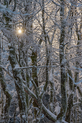 BUITEN BEELD Foto: 292670