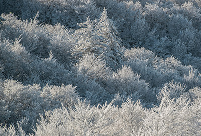 BUITEN BEELD Foto: 292695
