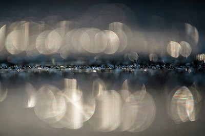 BUITEN BEELD Foto: 292716