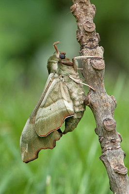 BUITEN BEELD Foto: 292738