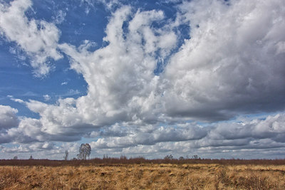 BUITEN BEELD Foto: 292743