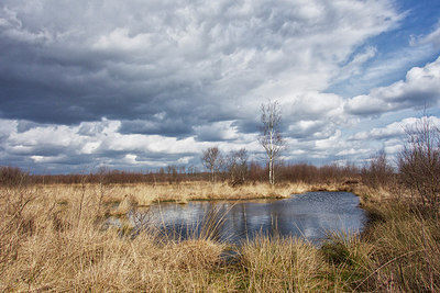 BUITEN BEELD Foto: 292744