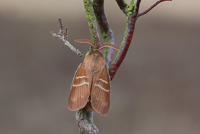 BUITEN BEELD Foto: 292758