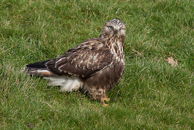 BUITEN BEELD Foto: 292762