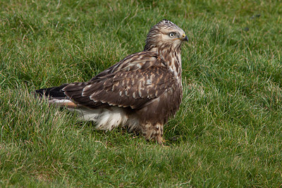 BUITEN BEELD Foto: 292765