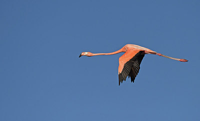 BUITEN BEELD Foto: 292795
