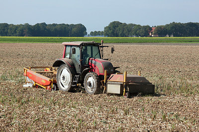 BUITEN BEELD Foto: 292797