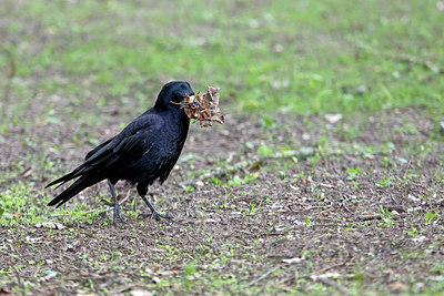 BUITEN BEELD Foto: 292824