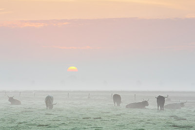 BUITEN BEELD Foto: 292847