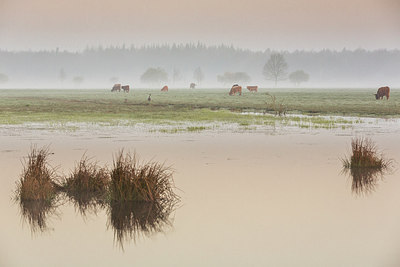 BUITEN BEELD Foto: 292848