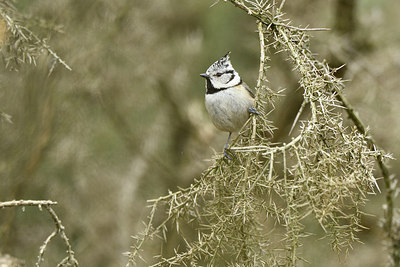 BUITEN BEELD Foto: 292857