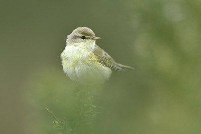 BUITEN BEELD Foto: 292859