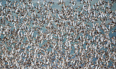 BUITEN BEELD Foto: 292887
