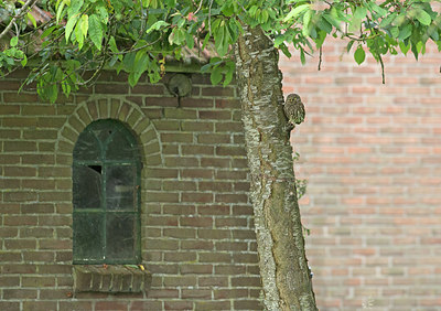 BUITEN BEELD Foto: 292931