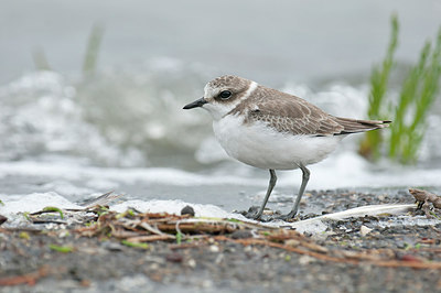 BUITEN BEELD Foto: 292948