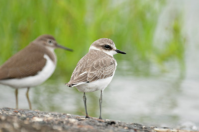 BUITEN BEELD Foto: 292949