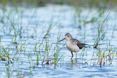 BUITEN BEELD Foto: 292969