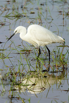 BUITEN BEELD Foto: 292971