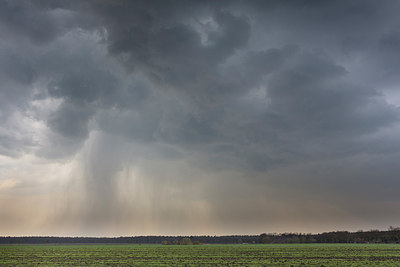 BUITEN BEELD Foto: 292984