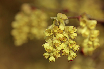 BUITEN BEELD Foto: 293036