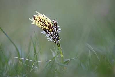 BUITEN BEELD Foto: 293045