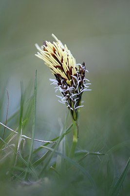 BUITEN BEELD Foto: 293046