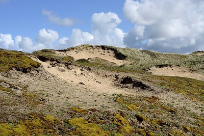 BUITEN BEELD Foto: 293072