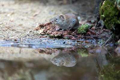 BUITEN BEELD Foto: 293076