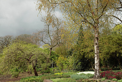 BUITEN BEELD Foto: 293095