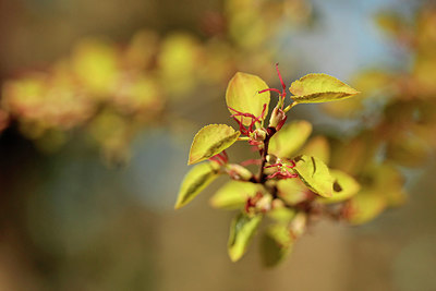 BUITEN BEELD Foto: 293101