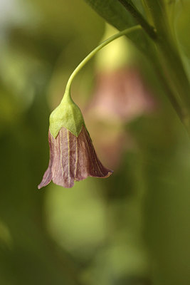 BUITEN BEELD Foto: 293105