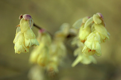 BUITEN BEELD Foto: 293106
