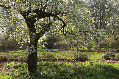 BUITEN BEELD Foto: 293121