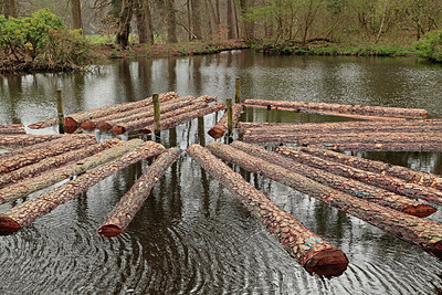 BUITEN BEELD Foto: 293128
