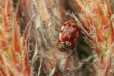 BUITEN BEELD Foto: 293138