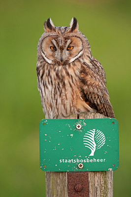 BUITEN BEELD Foto: 293149