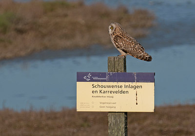 BUITEN BEELD Foto: 293151