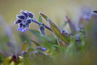 BUITEN BEELD Foto: 293170