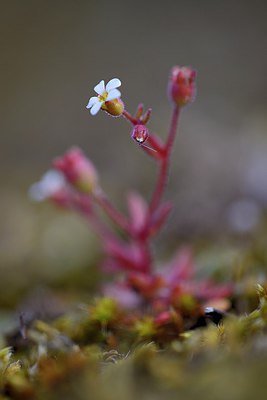 BUITEN BEELD Foto: 293171