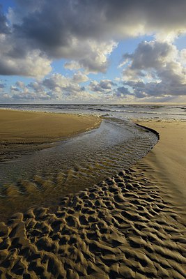 BUITEN BEELD Foto: 293175