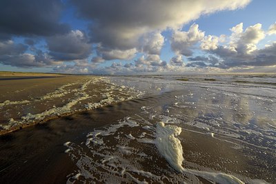 BUITEN BEELD Foto: 293176