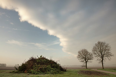 BUITEN BEELD Foto: 293214