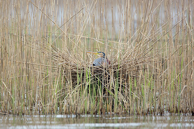 BUITEN BEELD Foto: 293239