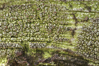 BUITEN BEELD Foto: 293253