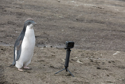 BUITEN BEELD Foto: 293334