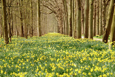 BUITEN BEELD Foto: 293436