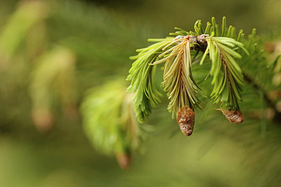 BUITEN BEELD Foto: 293484