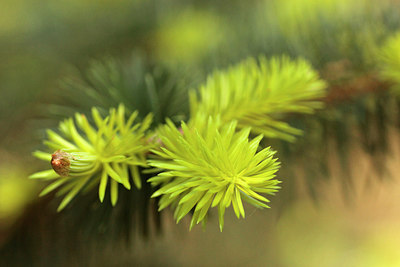 BUITEN BEELD Foto: 293492