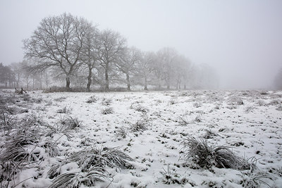 BUITEN BEELD Foto: 293546