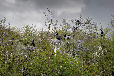 BUITEN BEELD Foto: 293562